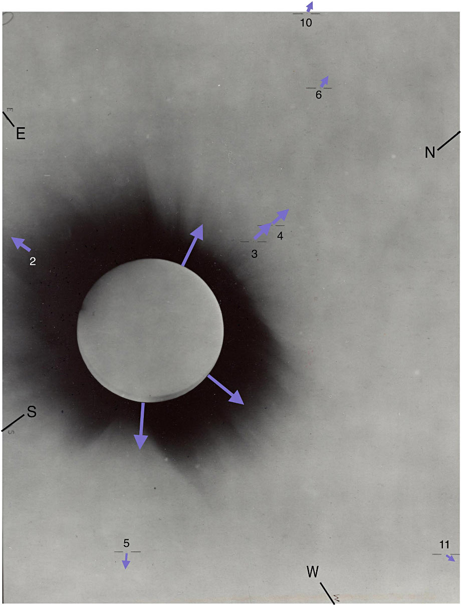 An acetate copy of one of the 4 inch Cortie telescope plates, showing the magnitude and direction of the deflections predicted by Einstein's theory magnified 320 times, for various stars. Image courtesy of Robin Catchpole. 